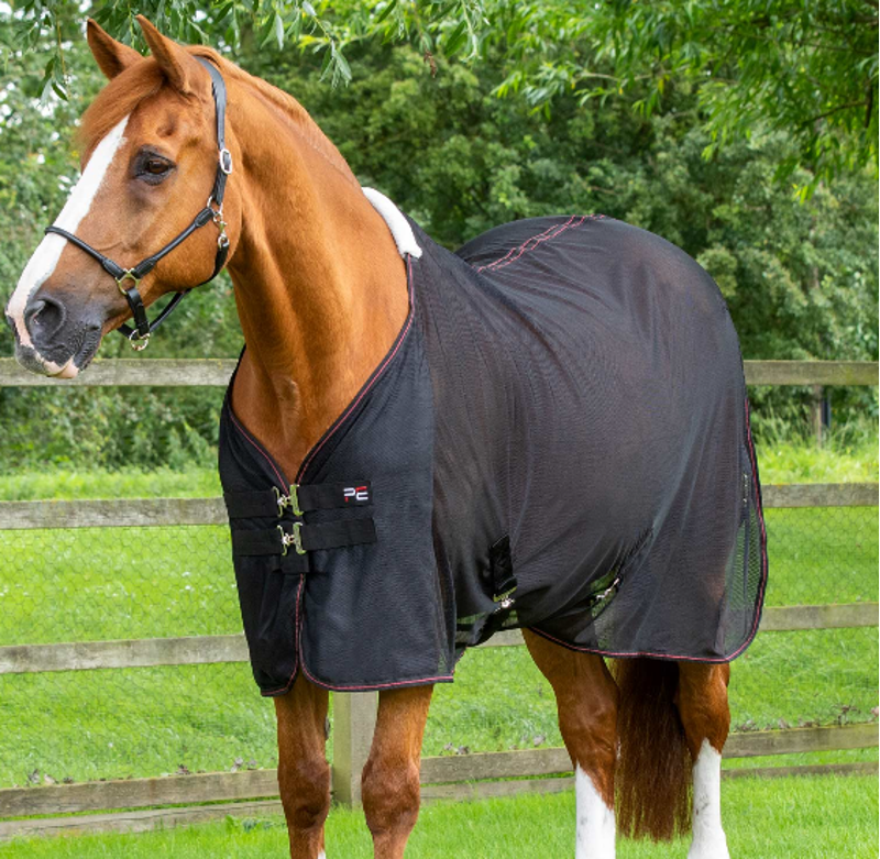 Premier Equine Ventoso Mesh Cooler Rug - Black