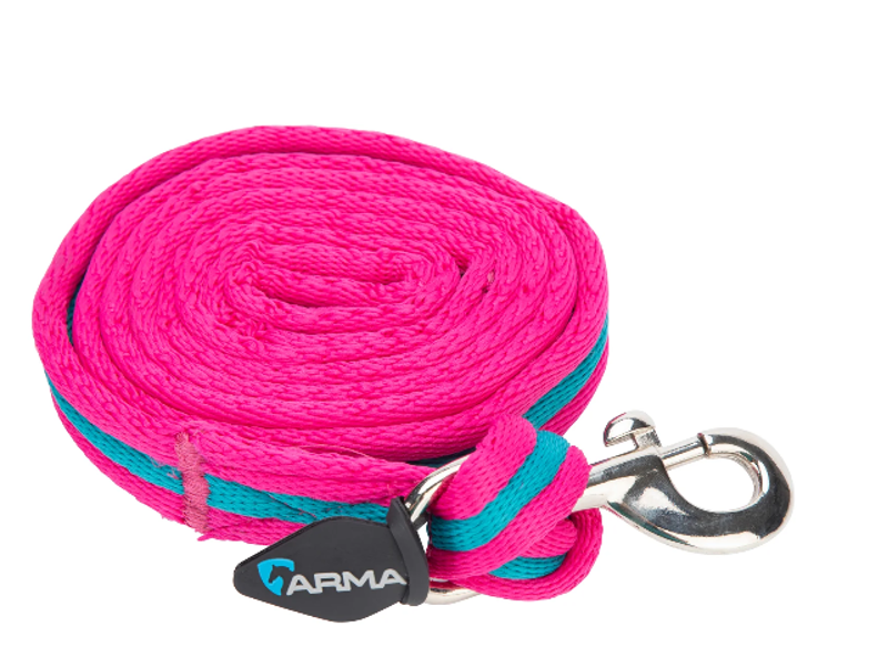 Shires ARMA Cushion Web Lead Rein - Magenta/Dark Cyan