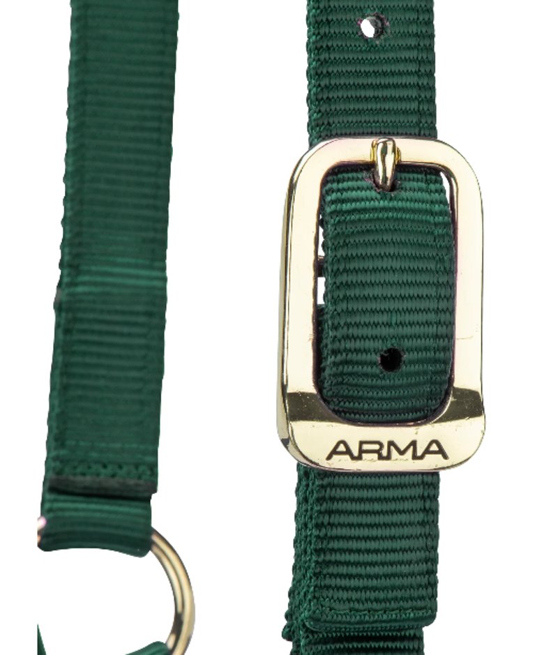 Shires ARMA Premium Adjustable Headcollar - Hunter-2