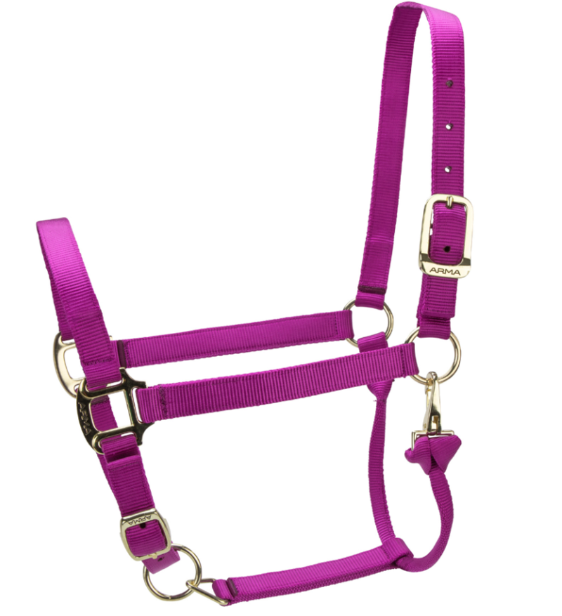 Shires ARMA Premium Adjustable Headcollar - Raspberry