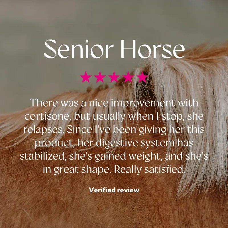 Hilton Herbs Senior Horse Supplement - 1 kg -7
