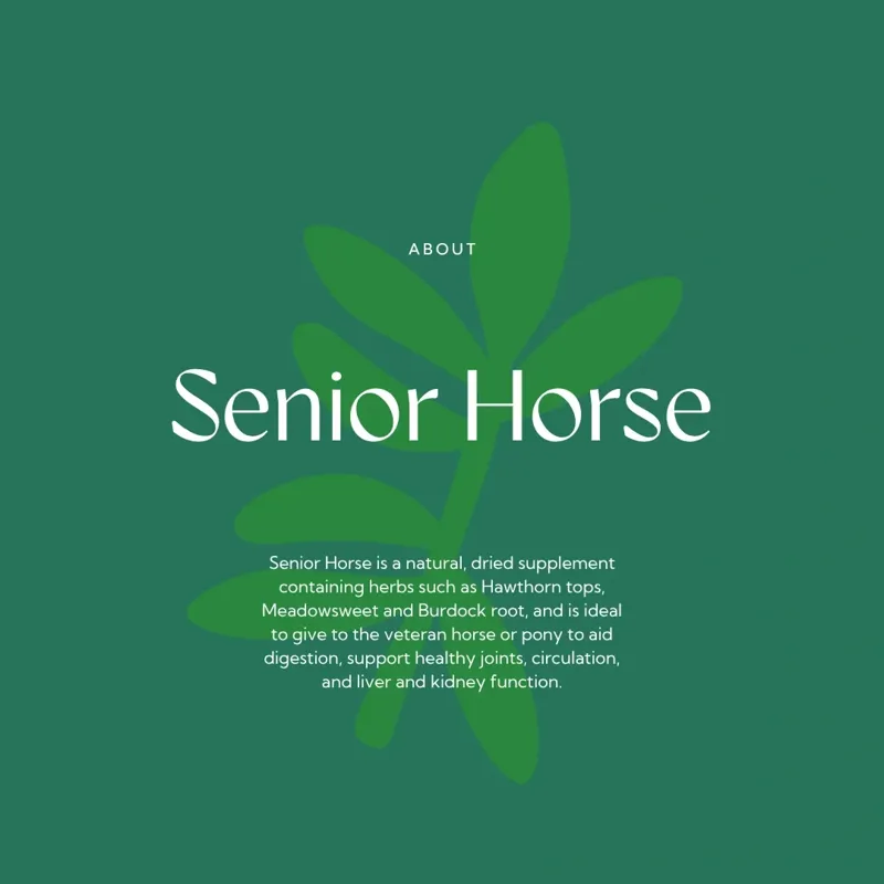 Hilton Herbs Senior Horse Supplement - 1 kg -6