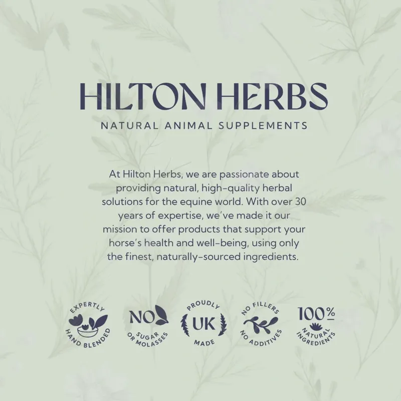 Hilton Herbs Senior Horse Supplement - 1 kg -4