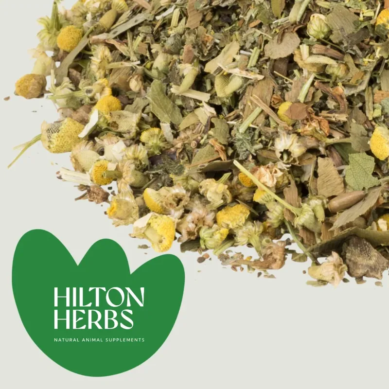 Hilton Herbs Senior Horse Supplement - 1 kg -2