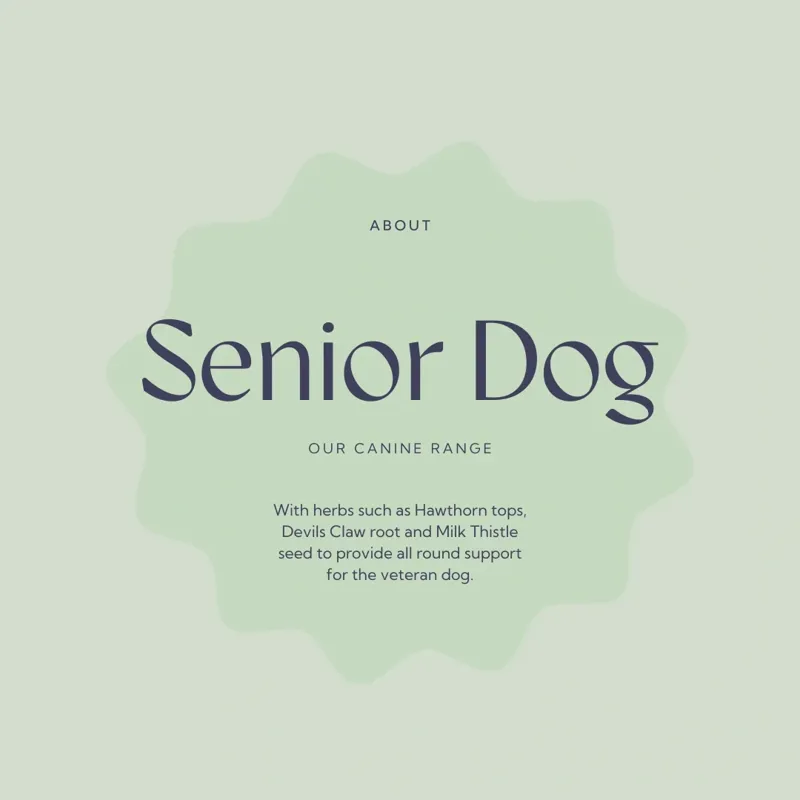 Hilton Herbs Canine Senior Dog 125g Tub-4