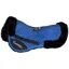 Shires ARMA Suede Half Pad - Royal Blue
