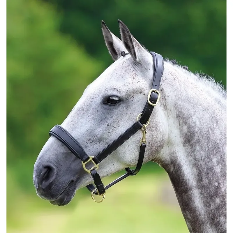 Shires Velociti GARA Leather Travel Headcollar - Black-1