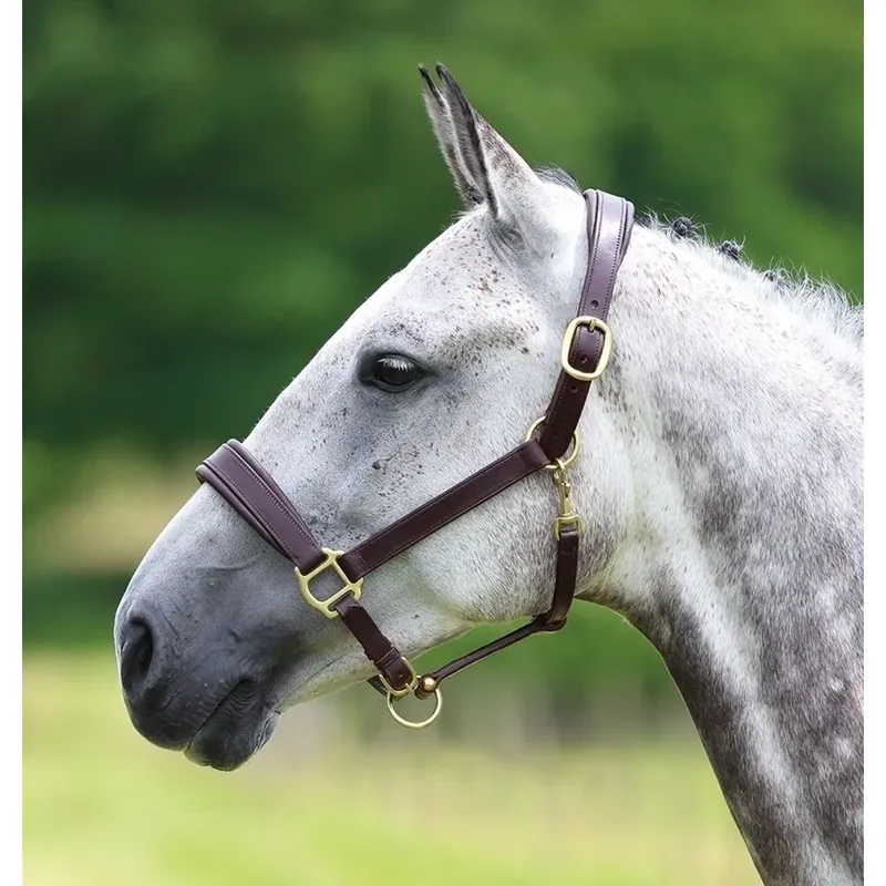 Shires Velociti GARA Leather Travel Headcollar - Havana