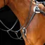 Shires Salisbury 5-Point Breastplate - Black