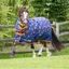 Shires Tikaboo 200g Combo Turnout Rug - Prince Charming