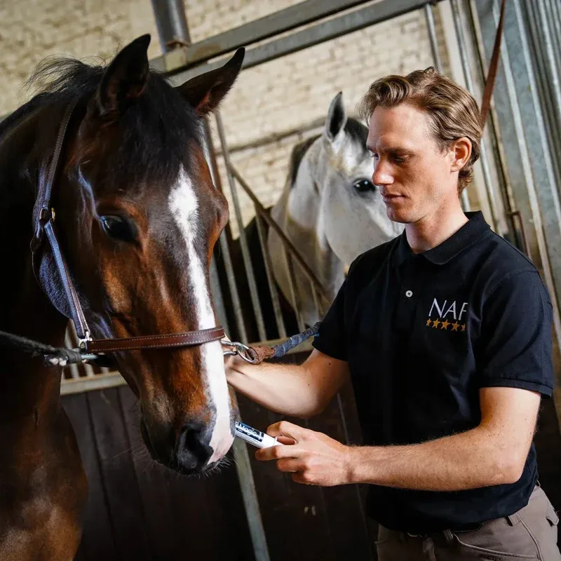 Naf Instant Magic Paste - 3 Pack-1