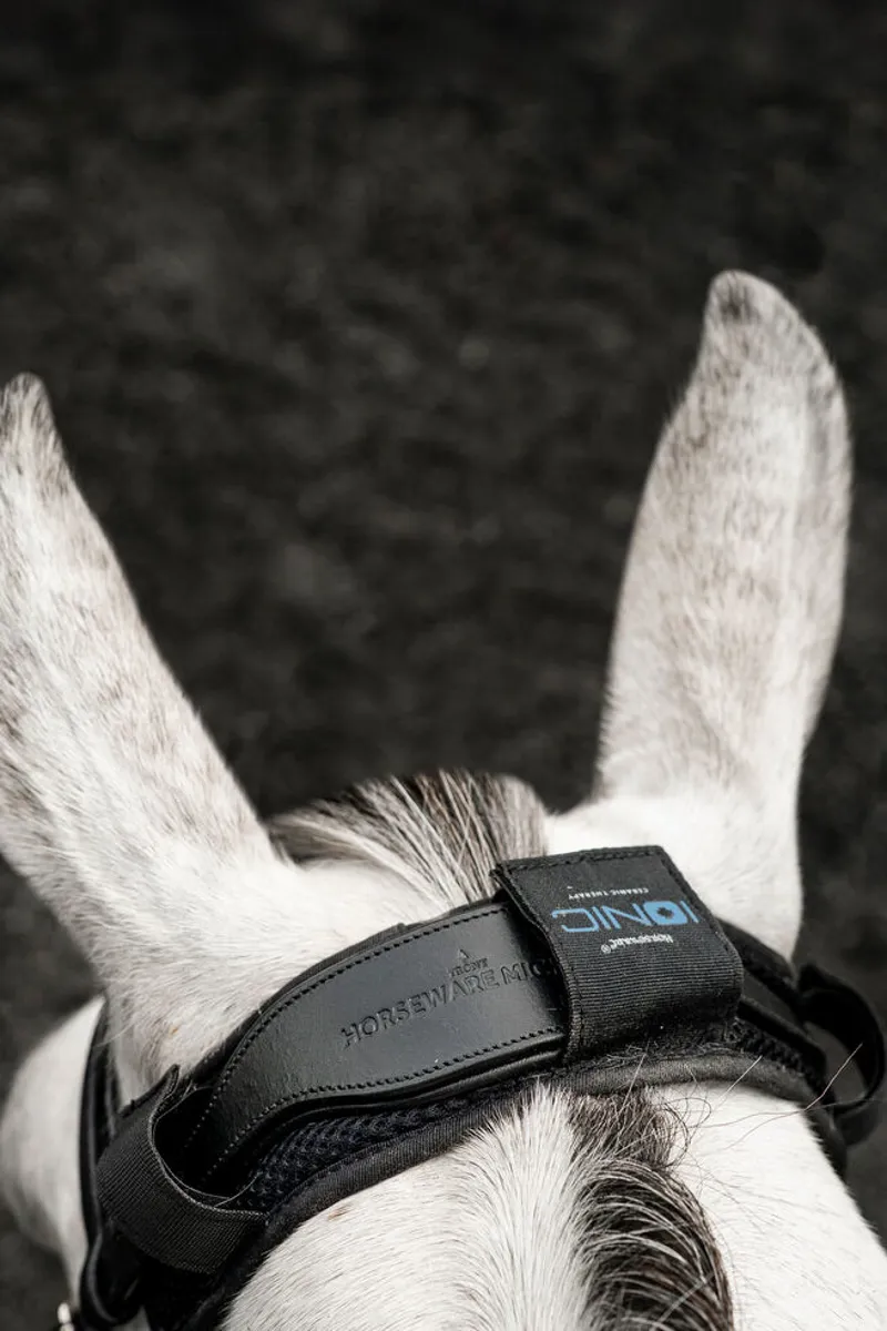 Horseware Ionic Poll Cover - Black 