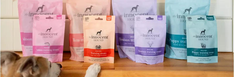 The Innocent Hound Training Treats - Salmon 70g-1