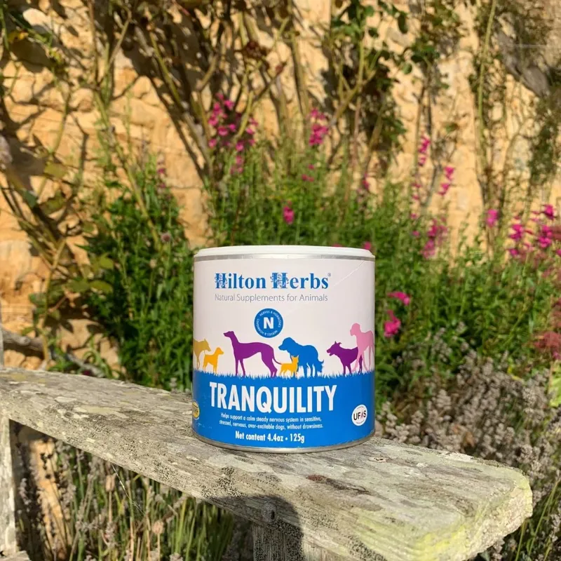 Hilton Herbs Canine Tranquility Calmer 125g Tub-3