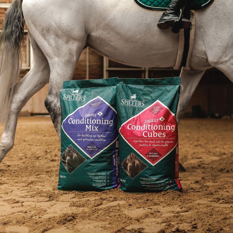 Spillers Digest + Cond Cubes - 20kg-6