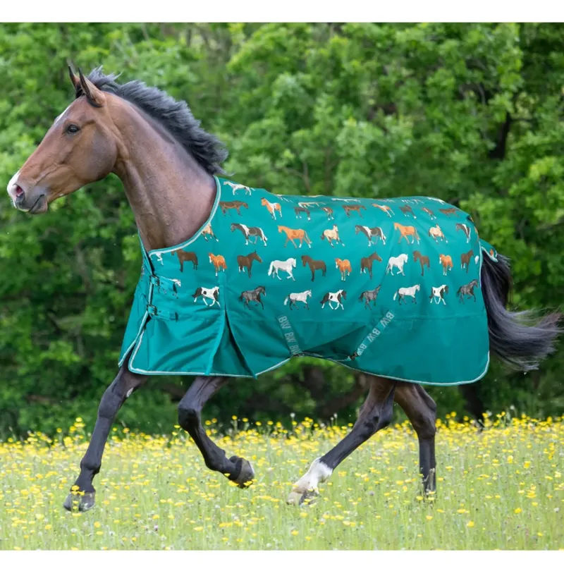 Bridleway Ontario 100g Turnout Rug - Teal Horse