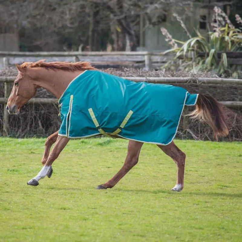 Bridleway Ontario 100g Turnout Rug - Green