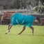 Bridleway Ontario 100g Turnout Rug - Green