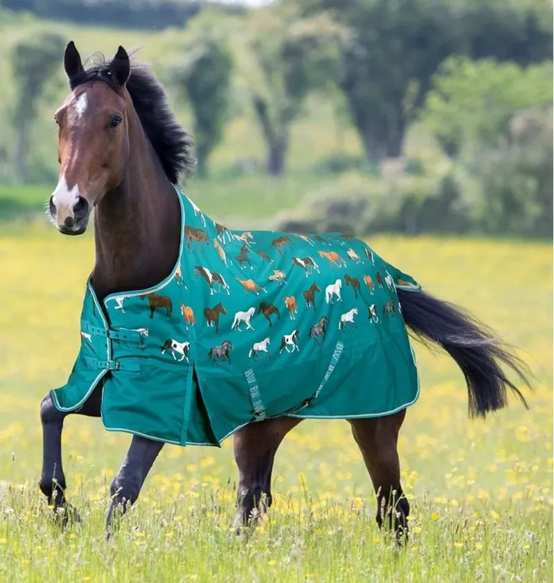 Bridleway Ontario 100g Turnout Rug - Teal Horse-1
