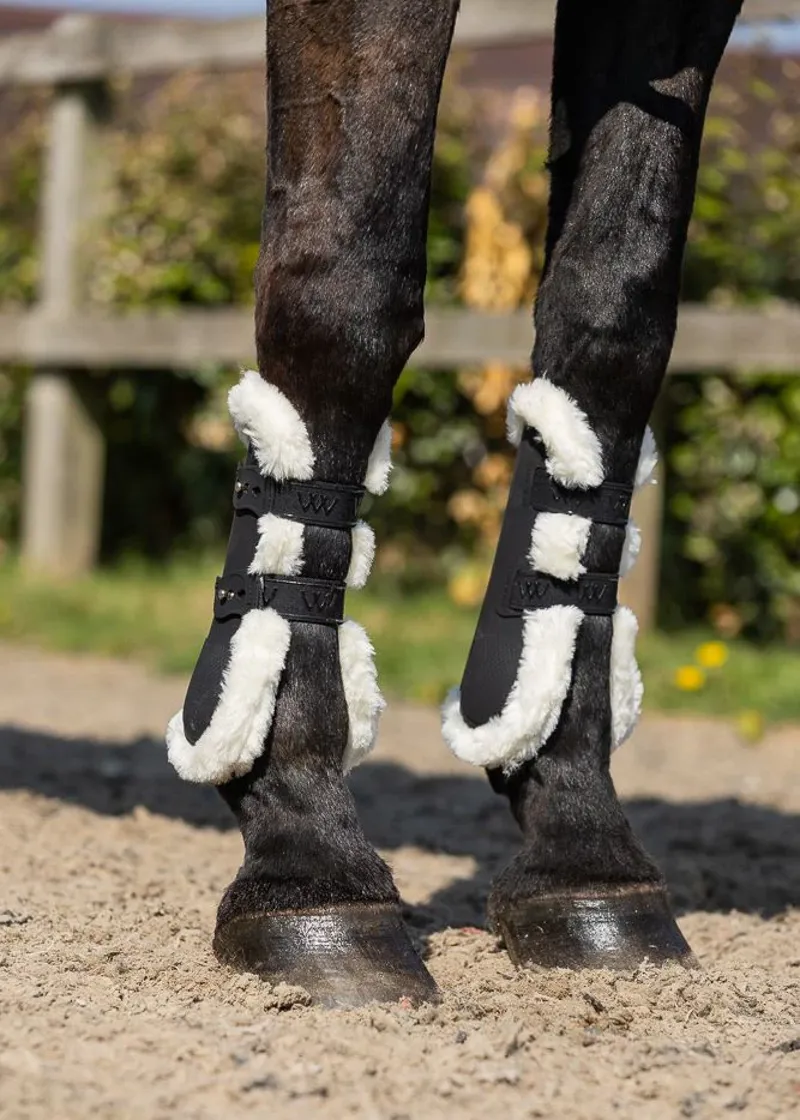 Woof Wear Vision Elegance Tendon Boot - Black -4