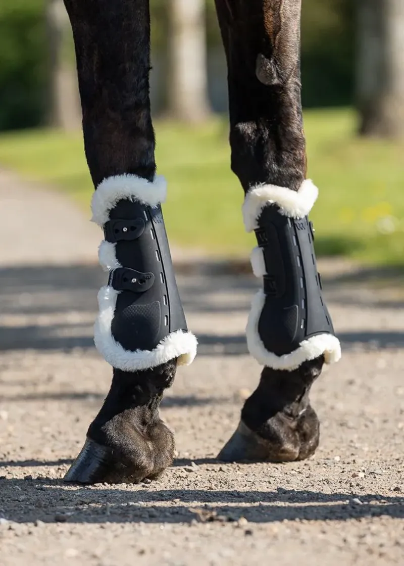 Woof Wear Vision Elegance Tendon Boot - Black -3