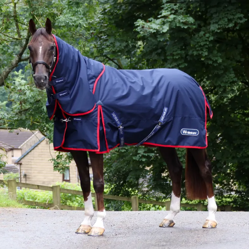 John Whitaker Rastrick 250g Detachable Neck V2 Turnout Rug - Navy