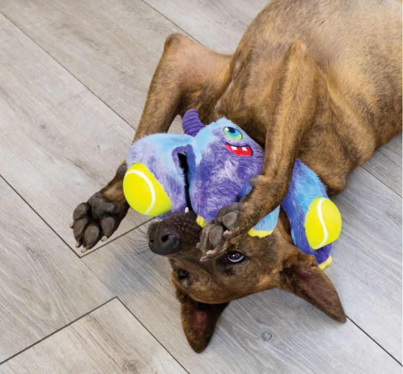 KONG Woozles Monster Dog Toy - Assorted Colours-2