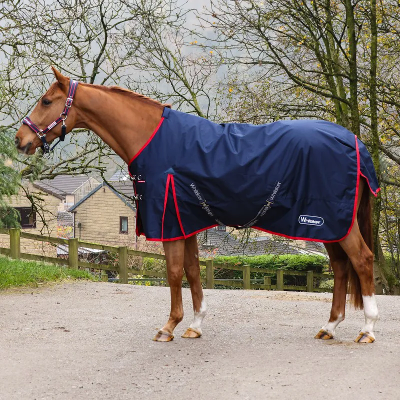 Whitaker Rastrick V2 0g Turnout Rug - Navy