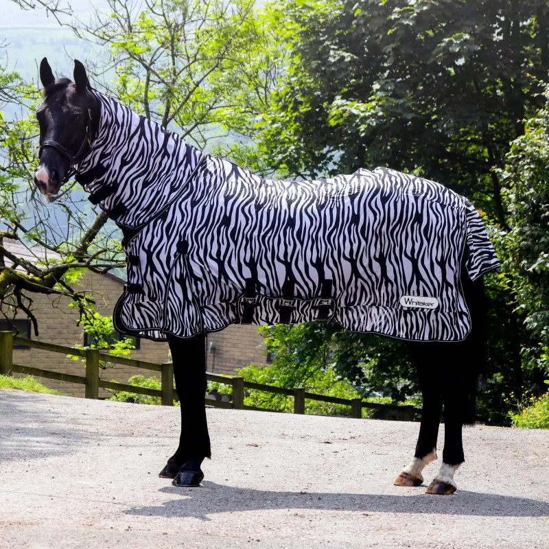 Whitaker Marwell Zebra Print Fly Rug - White/Black