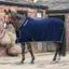 Whitaker Club Show Rug with Luxury Fluffy Lining Rug - Navy