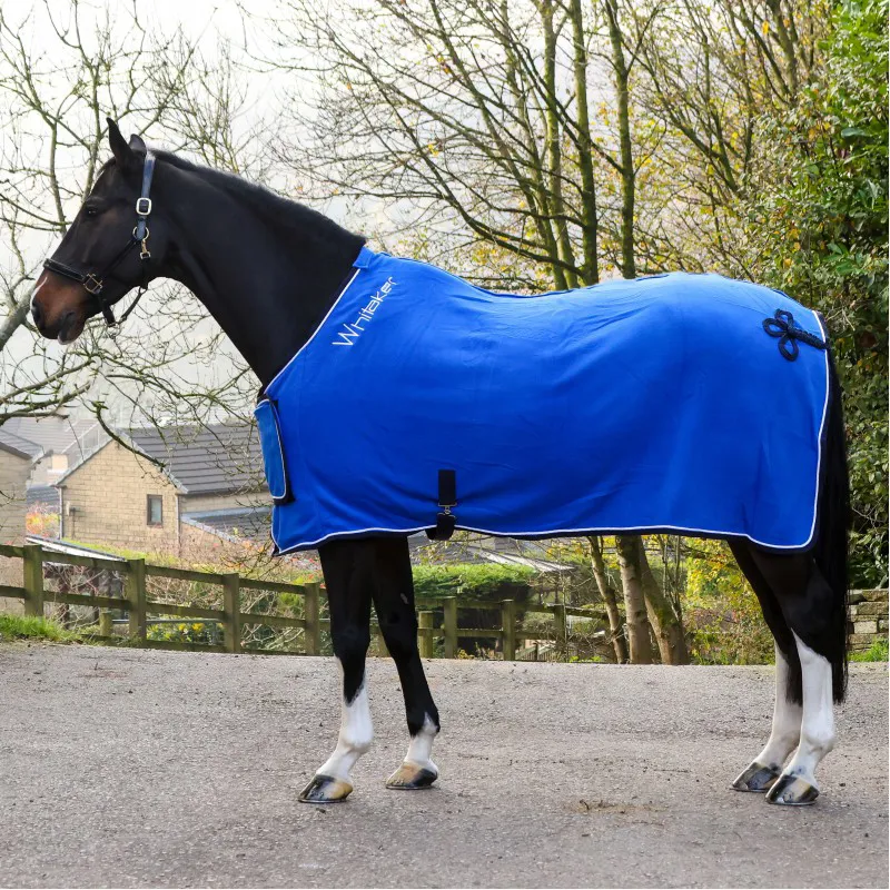 Whitaker Club Show Rug with Luxury Fluffy Lining Rug - Royal Blue
