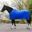 Whitaker Club Show Rug with Luxury Fluffy Lining Rug - Royal Blue