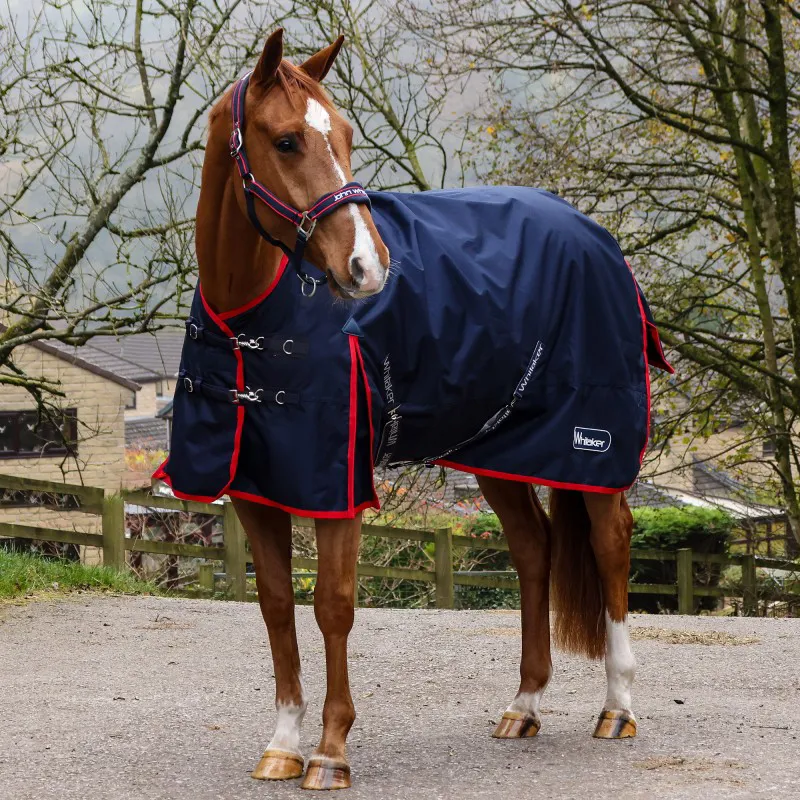 Whitaker Rastrick V2 100g Turnout Rug - Navy-2