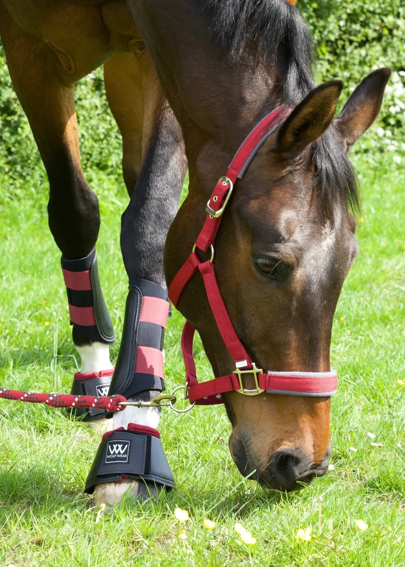 Woof Wear Club Brushing Boot - Shiraz-1