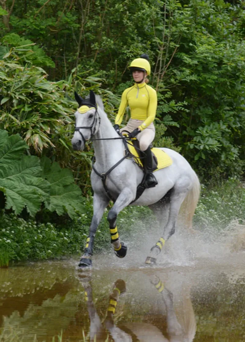 Woof Wear Club Brushing Boot - Sunshine Yellow-1