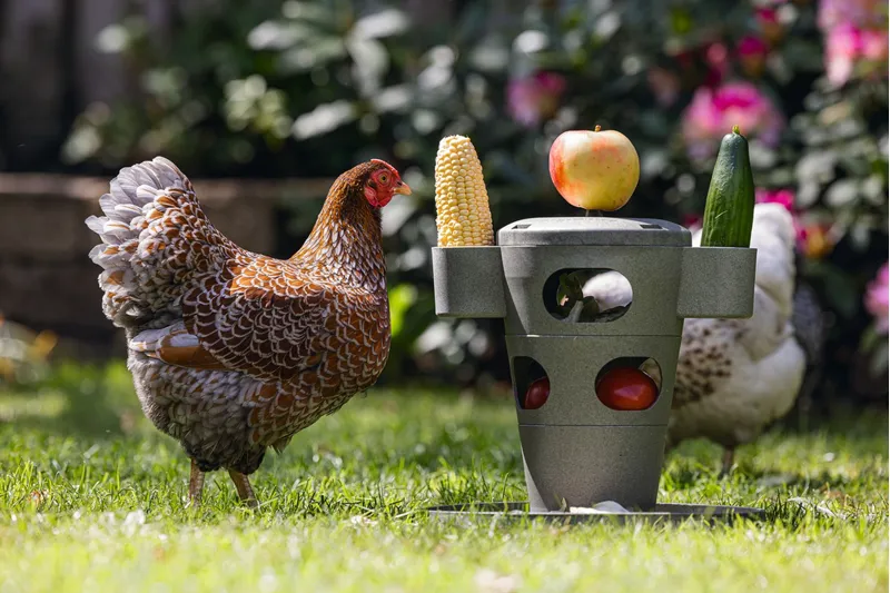 Gaun Snak/Feed Tower For Chickens - 100% Recycled Plastic -6