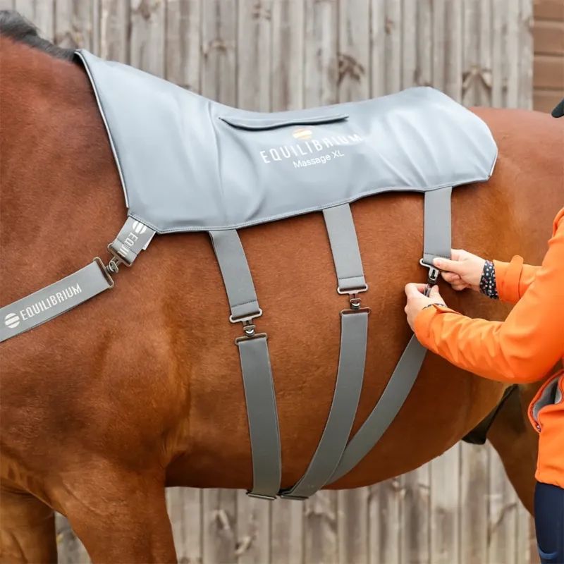 Equilibrium Massage Back Pad - XL-2