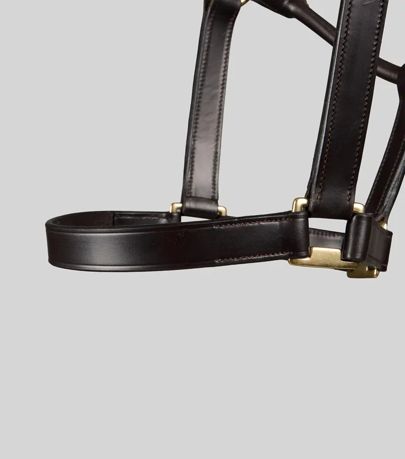 Premier Equine Yearling Headcollar 1 inch - Dark Havana-3