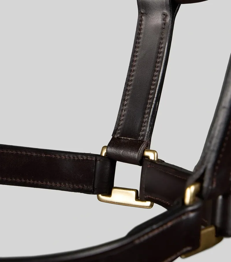 Premier Equine Yearling Headcollar 1 inch - Dark Havana-4