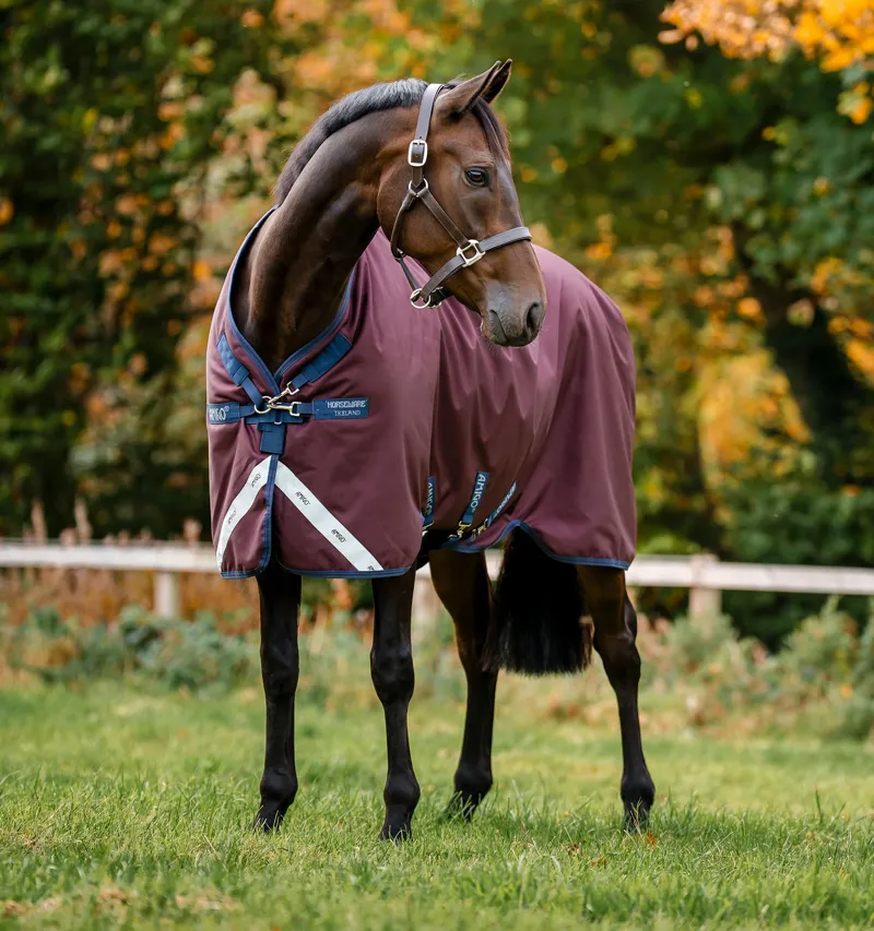 Horseware Amigo 1200D 100g Turnout Rug - Burgundy/Navy and Titanium Grey-1