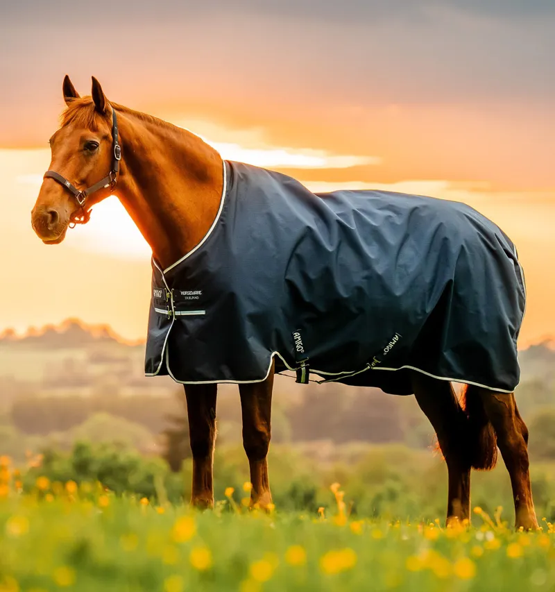 Horseware Amigo Ripstop 900D Turnout 0g - Witney Navy-1