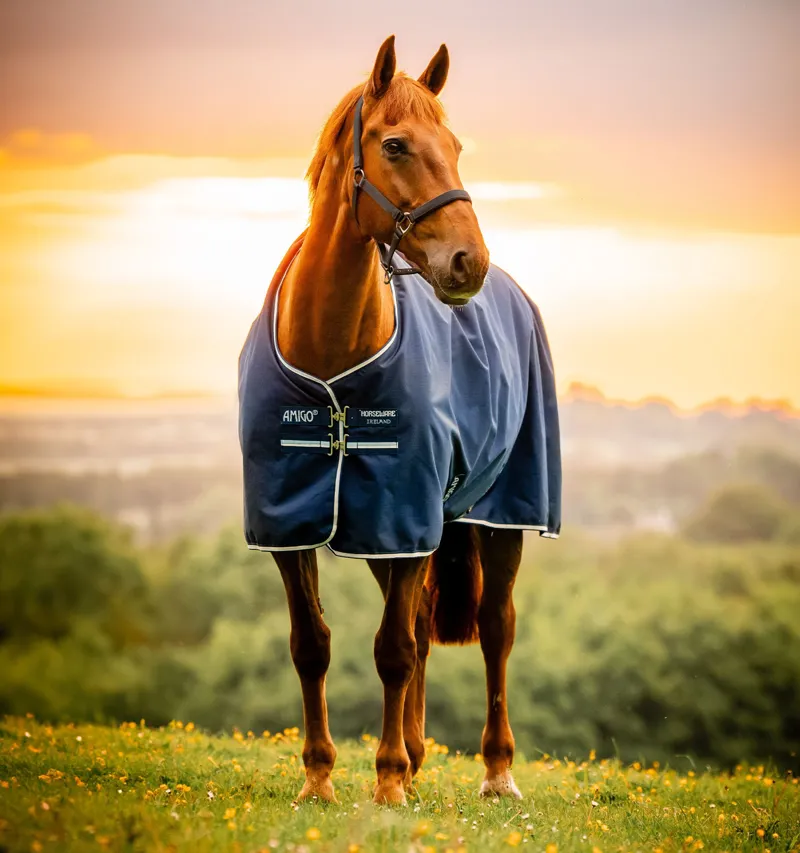 Horseware Amigo Ripstop 900D Turnout 0g - Witney Navy