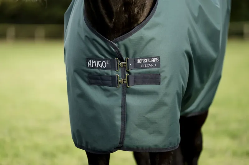 Horseware Amigo Ripstop 900D 0g Turnout Rug - Dynasty Green/Navy/Silver-1