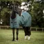 Horseware Amigo Ripstop 900D 0g Turnout Rug - Dynasty Green/Navy/Silver