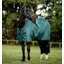 Horseware Amigo Ripstop 900D 50g Fleece Lined Turnout Rug - Dynasty Green