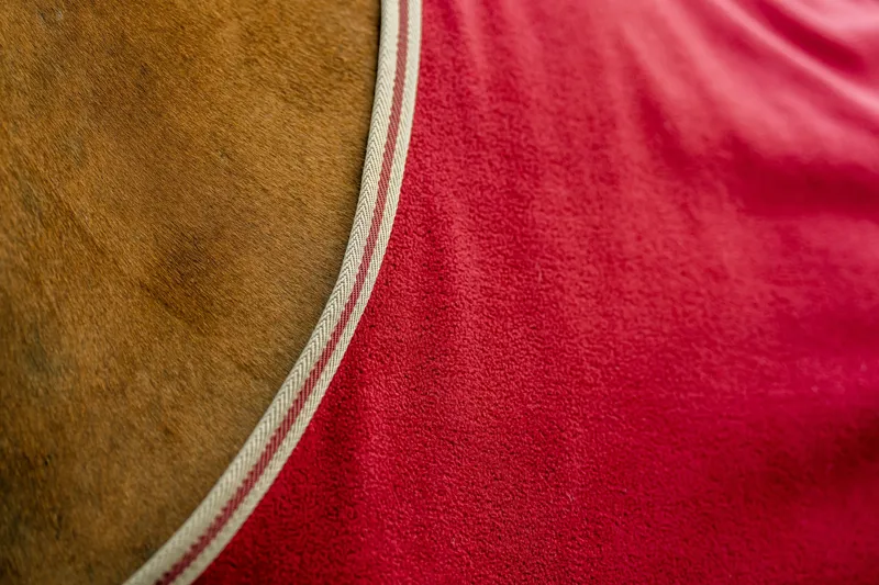 Horseware Amigo Fleece Cooler - Mulberry/Taupe-6