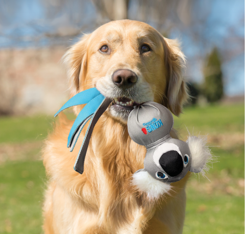 KONG Wubba Zoo -  Koala-2