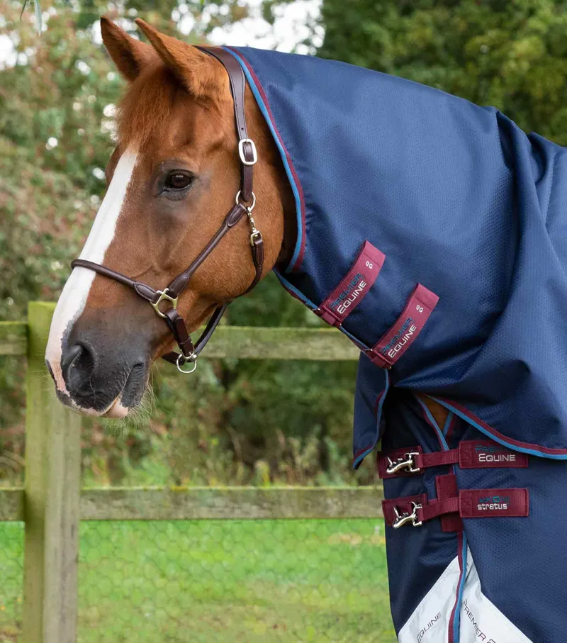 Premier Equine Akoni 0g Turnout Rug with Classic Neck Cover - Navy-1