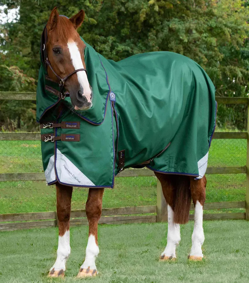 Premier Equine Akoni 0g Turnout Rug with Classic Neck Cover - Green