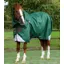 Premier Equine Akoni 0g Turnout Rug with Classic Neck Cover - Green